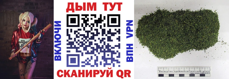 Купить наркотики сайты Тамбов Марихуана  Мефедрон  Alpha-PVP  ГАШ 
