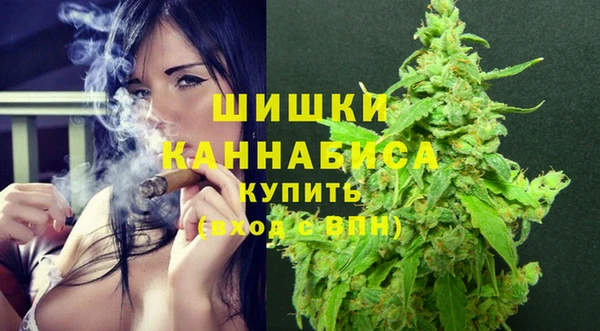спайс Лагань