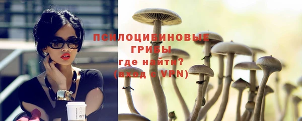 спайс Лагань