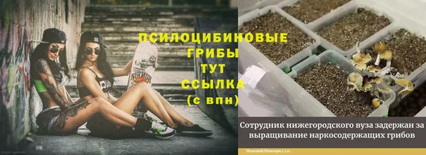 бошки Лабытнанги