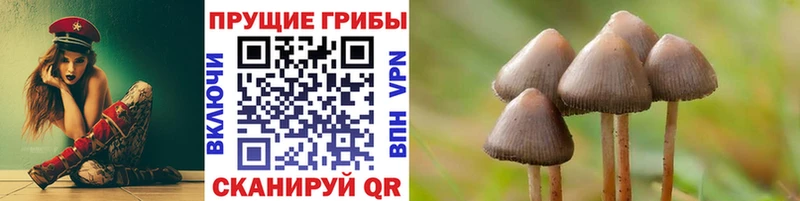 Псилоцибиновые грибы мицелий цены Тамбов